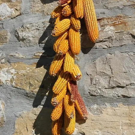 House With A Swimming Pool Cepic, Istria - Sredisnja Istra - 7404 Semesterbostad Pulgarija Cepic