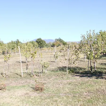 Semesterbostad House With A Swimming Pool Cepic, Istria - Sredisnja Istra - 7404 Pulgarija Cepic